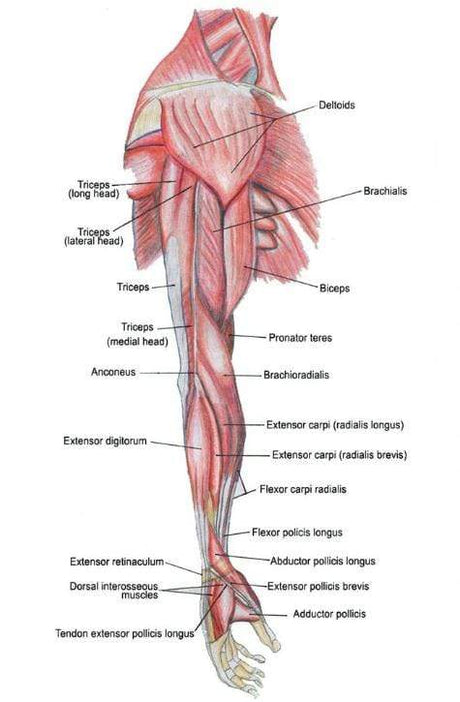 Fotoliu masaj piele bej zero gravity incalzire role ajustabile KM500L3D Focus Therapy