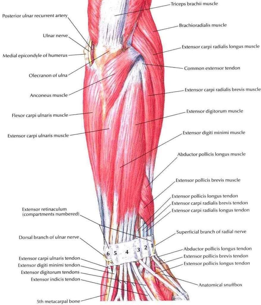 Fotoliu masaj piele bej zero gravity incalzire role ajustabile KM500L3D Focus Therapy