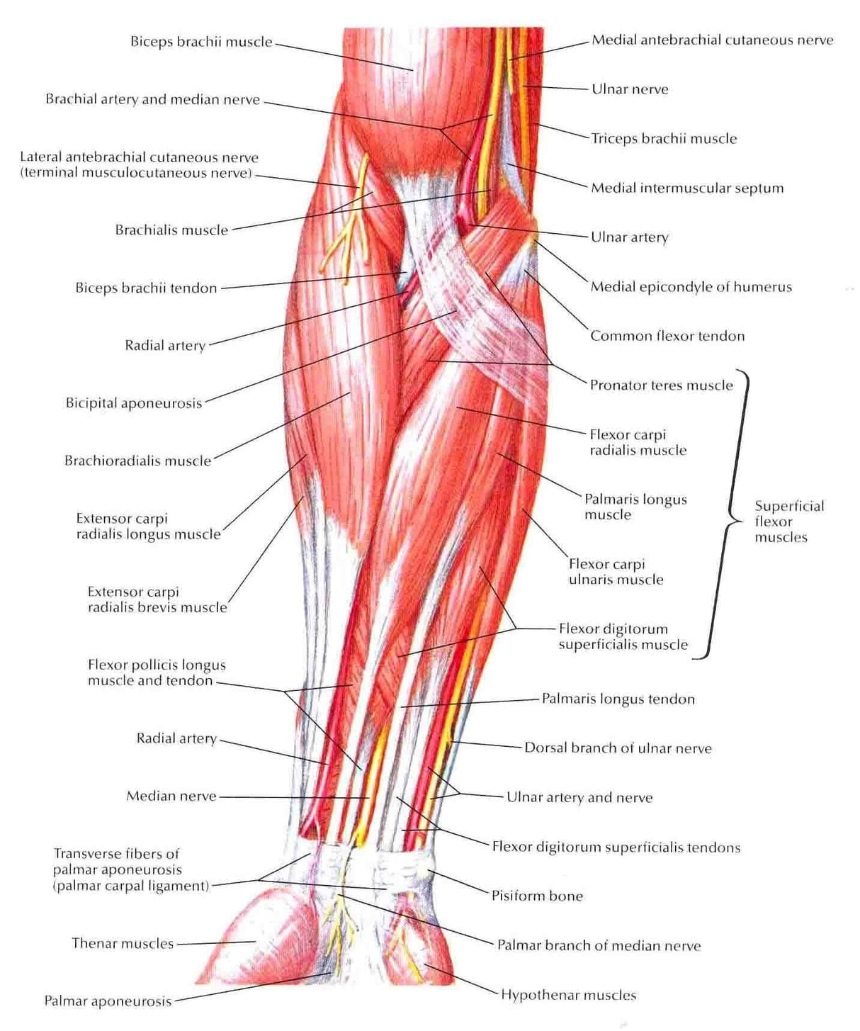 Fotoliu masaj piele bej zero gravity incalzire role ajustabile KM500L3D Focus Therapy