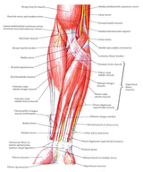 Fotoliu masaj piele bej zero gravity incalzire role ajustabile KM500L3D Focus Therapy