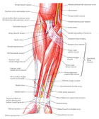 Fotoliu masaj piele bej zero gravity incalzire role ajustabile KM500L3D Focus Therapy