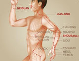 Fotoliu Masaj Piele Negru 6 Programe Automate Functie Scanare Incalzire Reflexoterapie Memorie Perne Aer iRest A55-2 Therapeutic