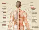 Fotoliu Masaj Piele Negru 6 Programe Automate Functie Scanare Incalzire Reflexoterapie Memorie Perne Aer iRest A55-2 Therapeutic