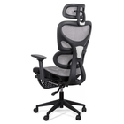 Scaun birou gri ergonomic brate 3D SYYT9508 Madison